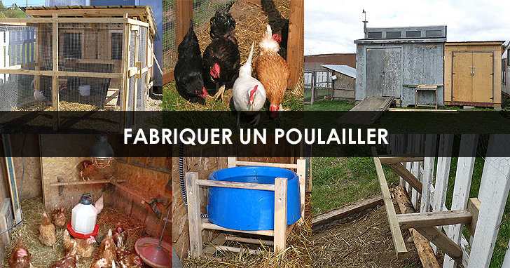 poulailler pinterest